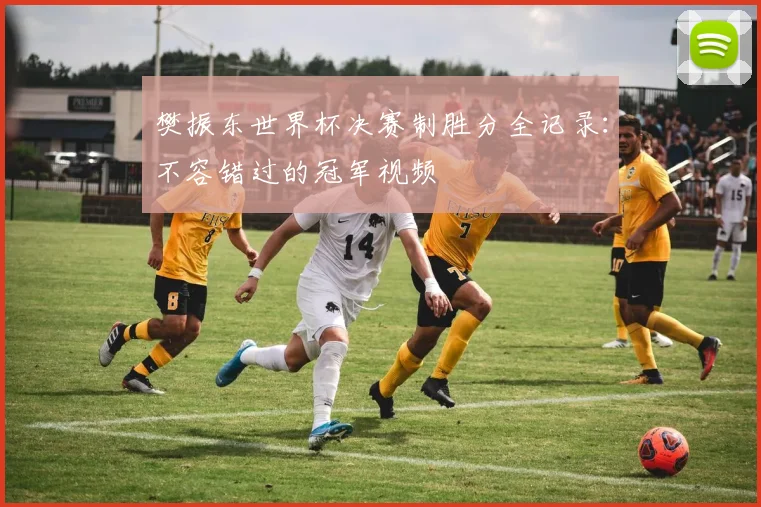 樊振东世界杯决赛制胜分全记录：不容错过的冠军视频