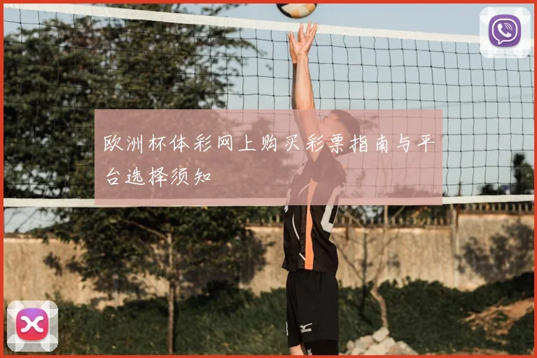欧洲杯体彩网上购买彩票指南与平台选择须知