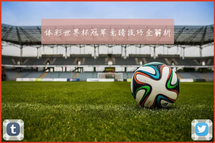 体彩世界杯冠军竞猜技巧全解析