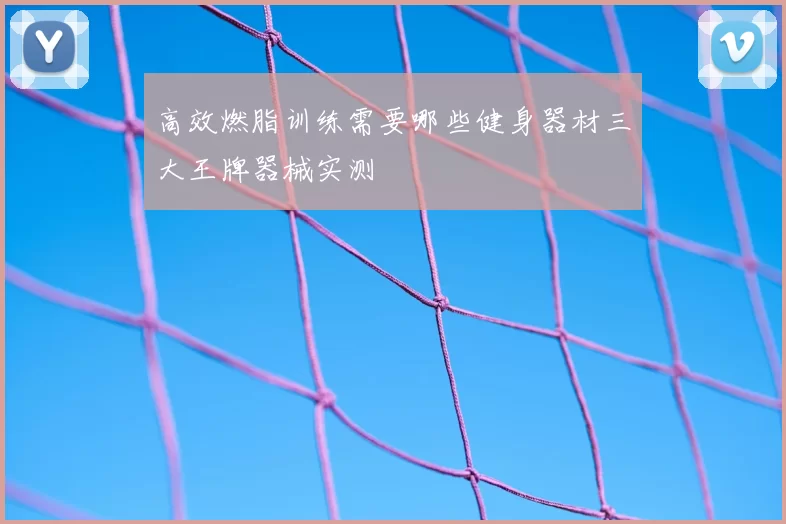 高效燃脂训练需要哪些健身器材三大王牌器械实测