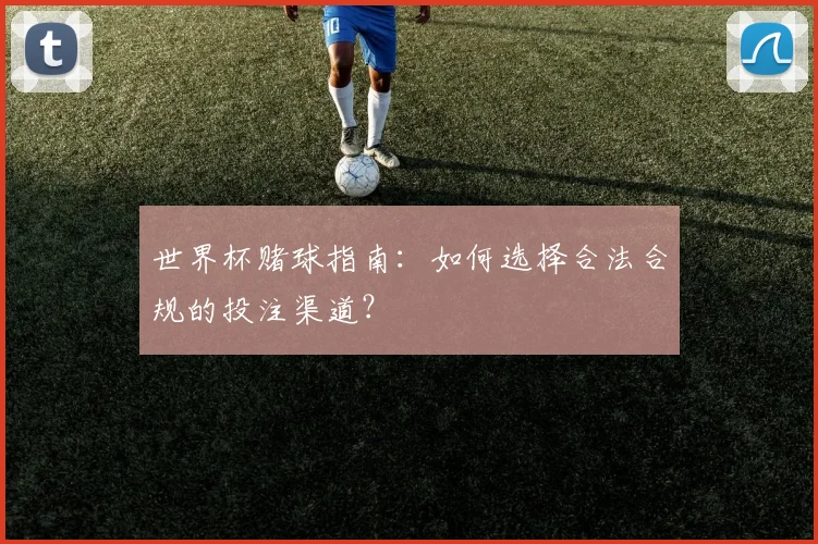 世界杯赌球指南：如何选择合法合规的投注渠道？
