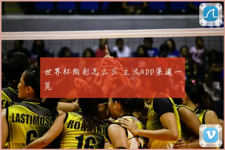 世界杯购彩怎么买 主流app渠道一览