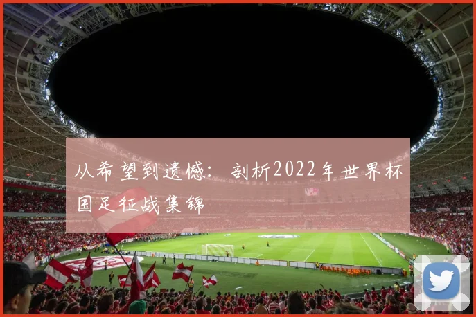 从希望到遗憾：剖析2022年世界杯国足征战集锦