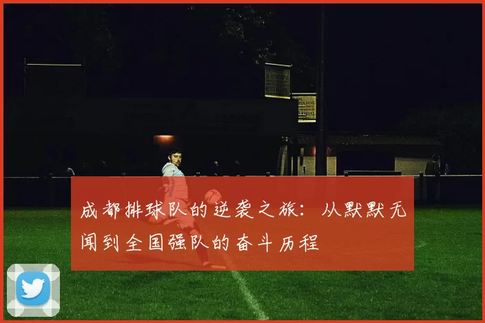 成都排球队的逆袭之旅：从默默无闻到全国强队的奋斗历程