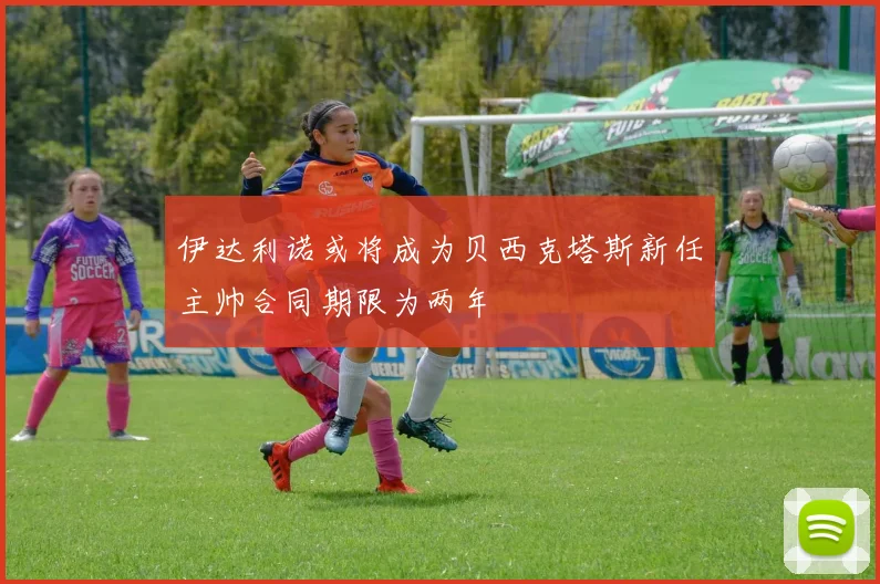伊达利诺或将成为贝西克塔斯新任主帅合同期限为两年