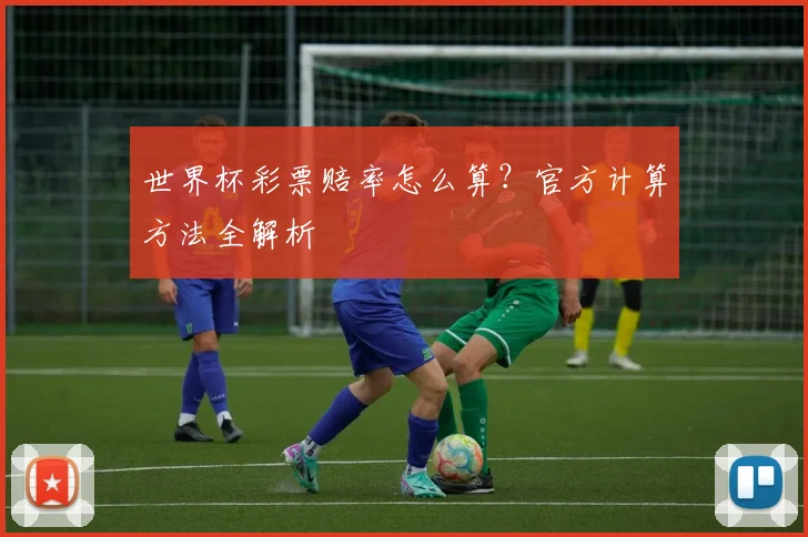 世界杯彩票赔率怎么算？官方计算方法全解析