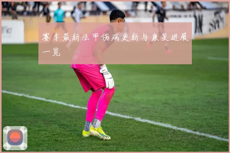 赛季最新法甲伤病更新与康复进展一览