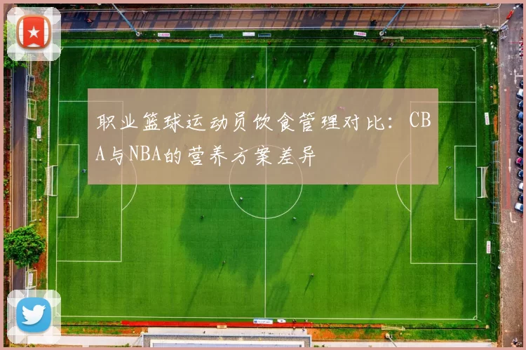 职业篮球运动员饮食管理对比：CBA与NBA的营养方案差异