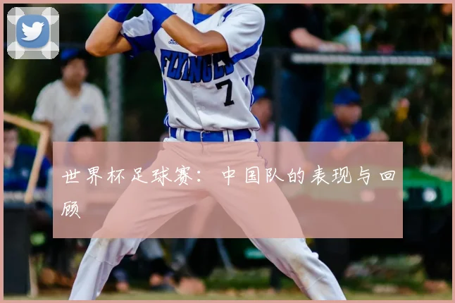 世界杯足球赛：中国队的表现与回顾