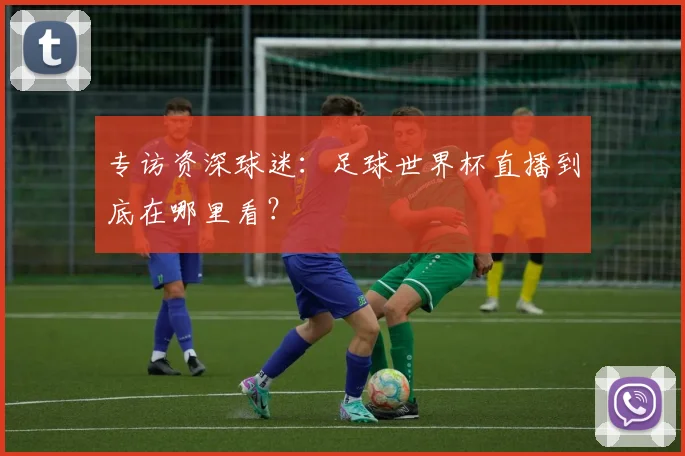 专访资深球迷：足球世界杯直播到底在哪里看？