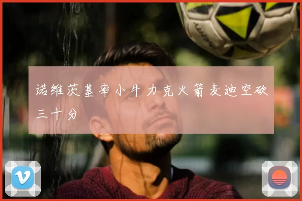 诺维茨基率小牛力克火箭麦迪空砍三十分