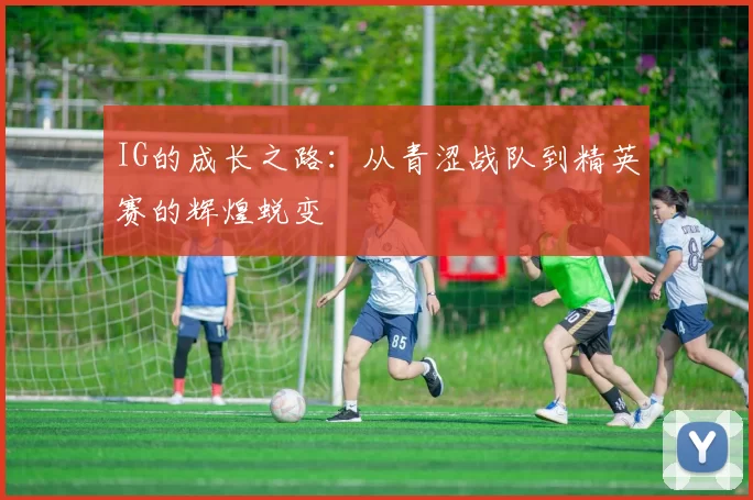 IG的成长之路：从青涩战队到精英赛的辉煌蜕变