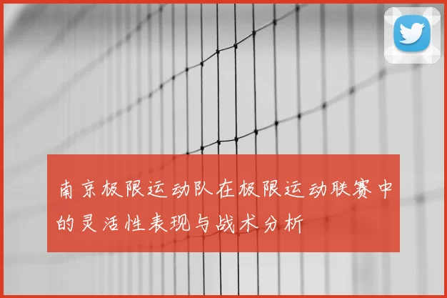南京极限运动队在极限运动联赛中的灵活性表现与战术分析