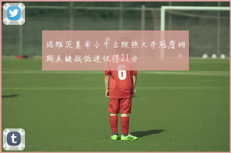 诺维茨基率小牛击败热火夺冠詹姆斯关键战低迷仅得21分