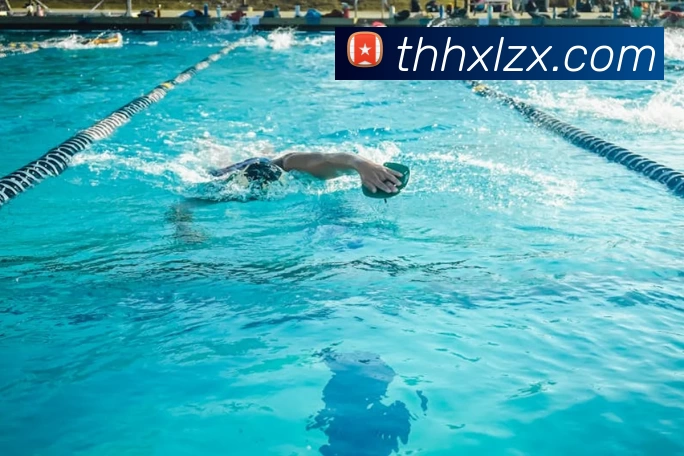 球盟会服务体系